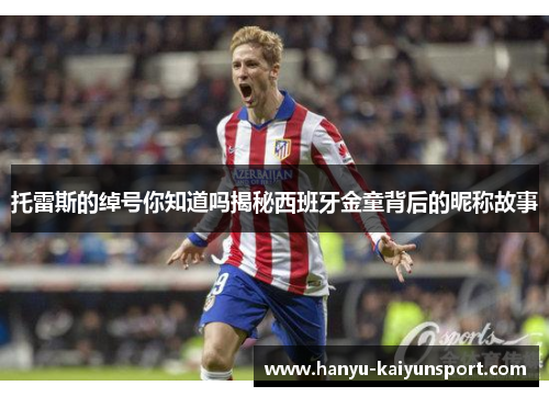 托雷斯的绰号你知道吗揭秘西班牙金童背后的昵称故事 托雷斯的绰号你知道吗揭秘西班牙金童背后的昵称故事